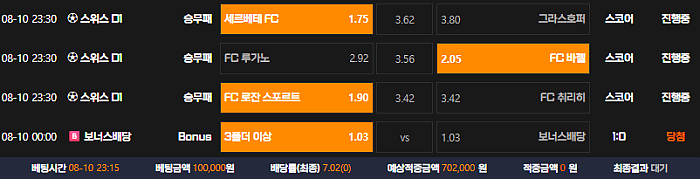 스위스 축구 묶어봤어요 ㅎㅎ