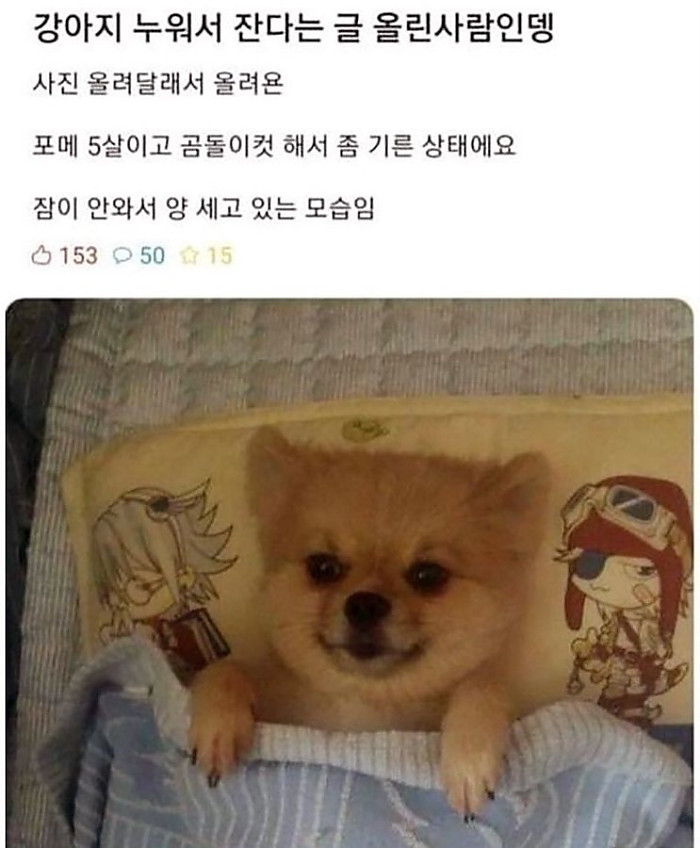 너무 귀엽네 ㅋㅋ