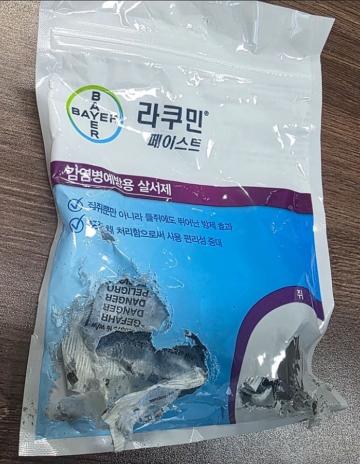 성질 약간 급한 쥐