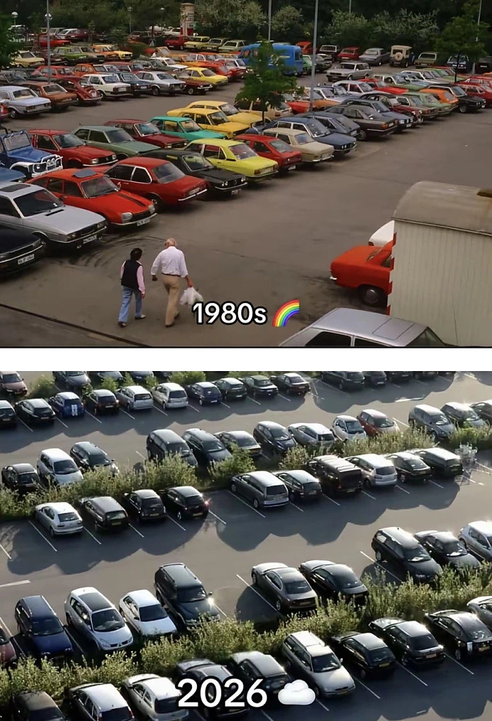 미국 차 문화 근황