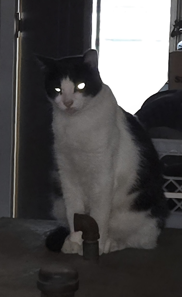 나비야...벌써 10시가 넘었거든...