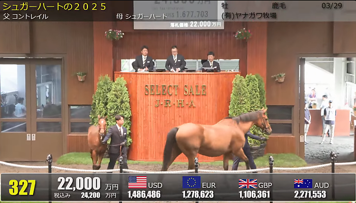 네발로 걸어다니는 강남아파트