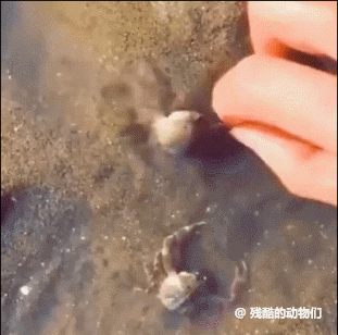 우리 자기 건들지 마..