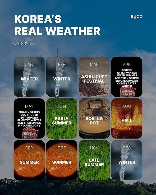 해외에 퍼지고 있는 한국의 진짜 계절
