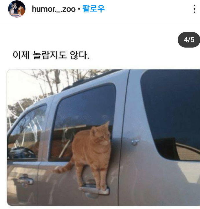 능력냥