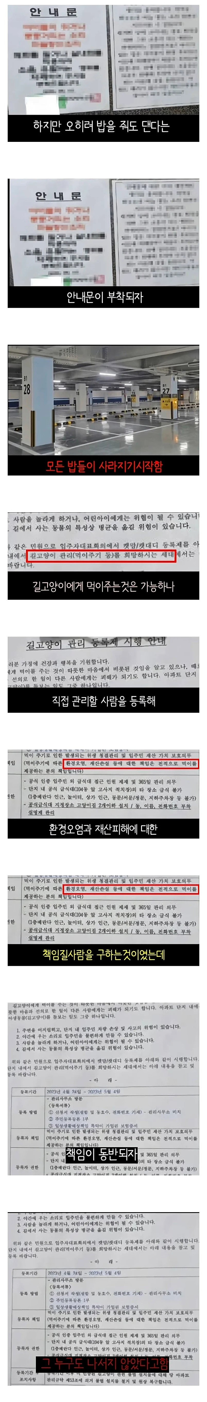 68d10e41428506a91b74d6f73c5014ba.webp.ren.jpg 캣맘들이 사라진 이유