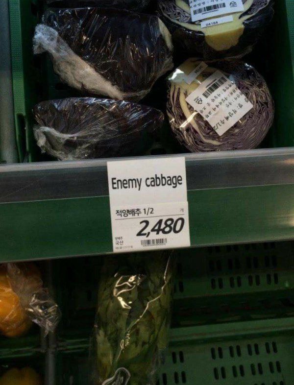 팝니다, 적양배추
