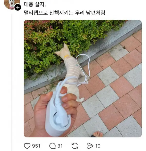 대충 사는 사람들