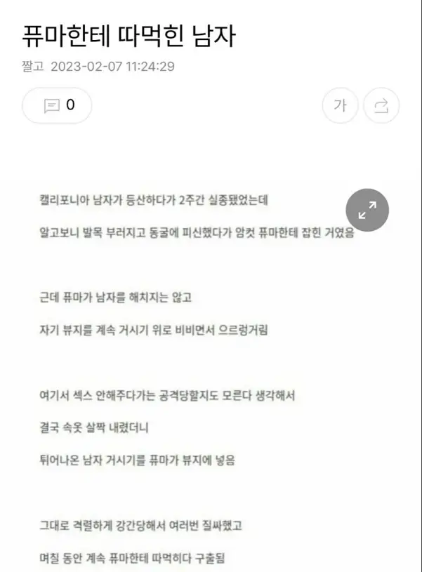 소소한 유머 모음 짤10개