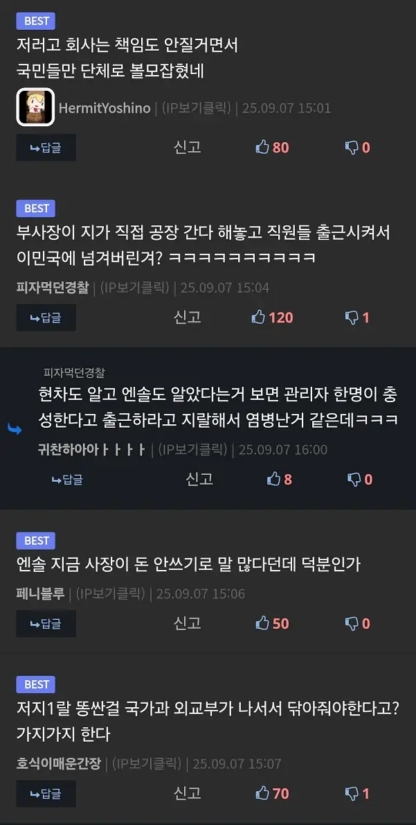 미국 현대차 LG 엔솔 사태 관련 블라글