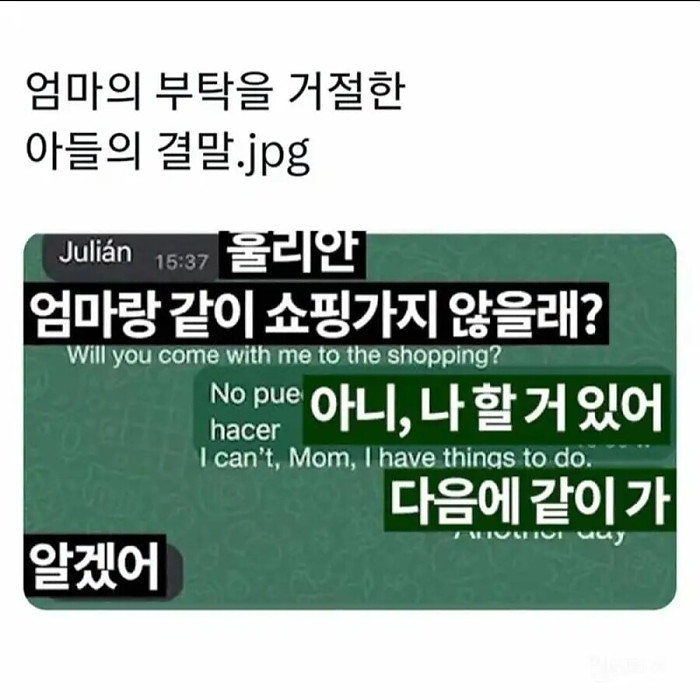 엄마의 부탁을 거절한 아들의 결말...
